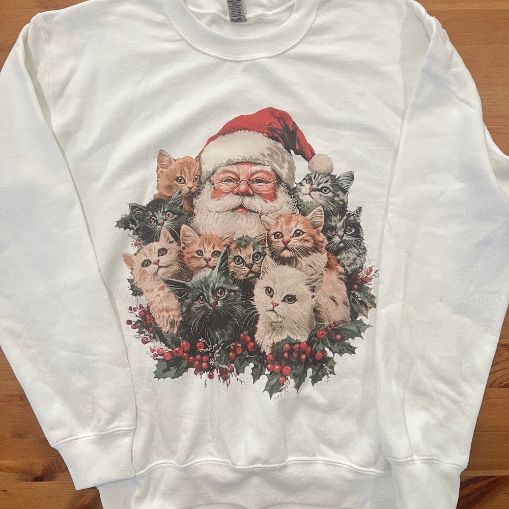 Christmas cats and Santa sweatshirt
